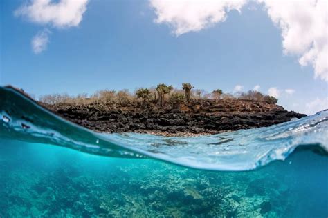 The Importance of Galápagos’ Marine and Terrestrial Ecosystems ...