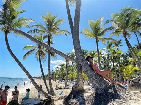 Marta Manowska W R Owym Bikini Opala Si Na Palmie I Cytuje Mat Zdj Cia Pudelek