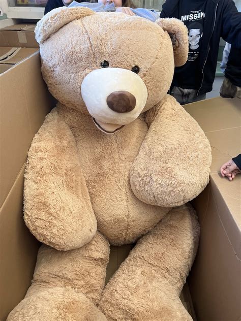 Big Teddy Bear Costco