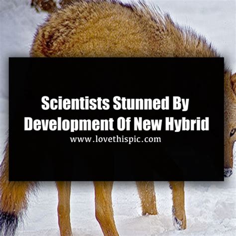 Scientists Stunned By Development Of New Hybrid