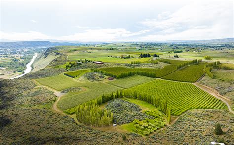 Ewu Insider Uncovering The Hidden Gems Of Ewus Most Challenging Crops