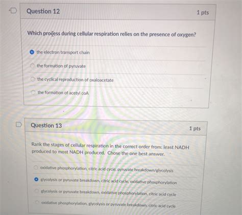 Solved Dquestion Pts What Does The Movement Of Pyruvate Chegg