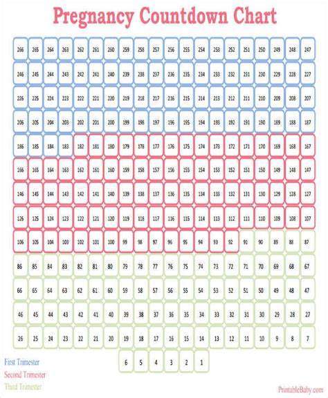 Countdown Chart Printable