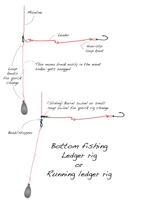 How To Rig For Bottom Fishing Ledgering Running Ledger Sport