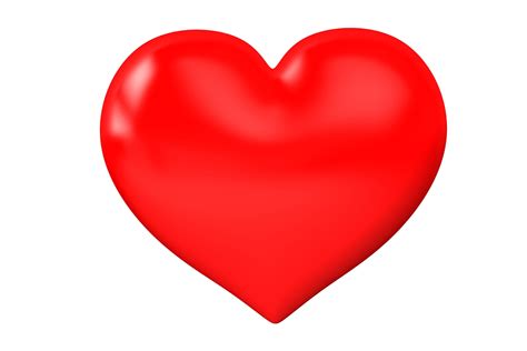 The Human Heart For Kids