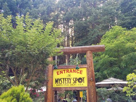 Mystery Spot Santa Cruz Newbie In Sunnyvale