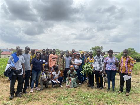 vegetable farmers urged  embrace  cultivation  indigenous leafy