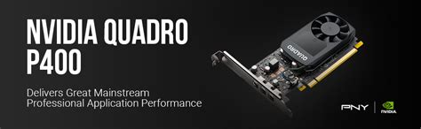 Amazon.com: PNY NVIDIA Quadro P400 Professional Graphics Board ...