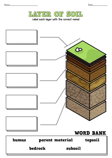 Types Of Soil Worksheet