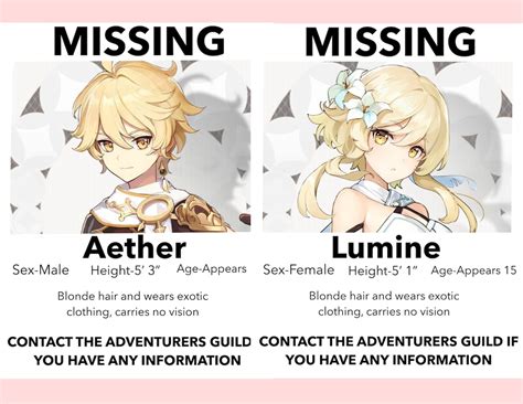 Genshin Impact Traveler Missing Poster Lumine / Aether / Genshin Imapct ...