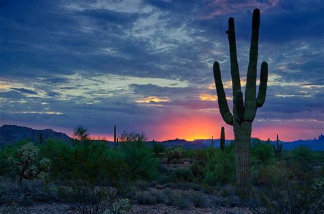 Sunrise Photograph A Sonoran Desert Morning By Saija Lehtonen