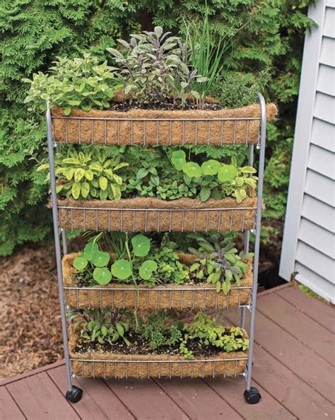 Clever Vertical Herb Gardens That Will Grow A Lot Of Herbs In A Small