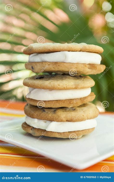 Stack Of Chocolate Chip Ice Cream Sandwiches Stock Photo Image Of