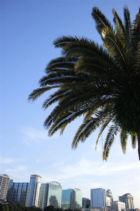 Orlando Photo Spots — LemonHearted