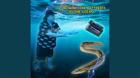 I Throw My Car Batteries In The Ocean It Is Safe And It Is Legal To Do