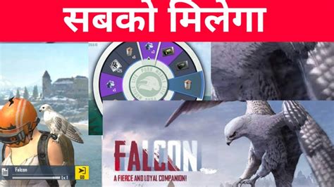 Falcon Event In Pubg Mobile Lite How To Get Free Companion Falcon