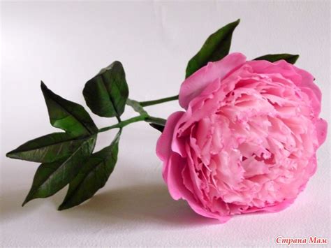 Пион из "холодного фарфора" - Холодный фарфор- изысканность и простота ...