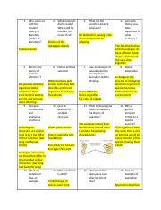 Evolution Review Guide ANSWER KEY-1.docx - 1. Who came up with the ...