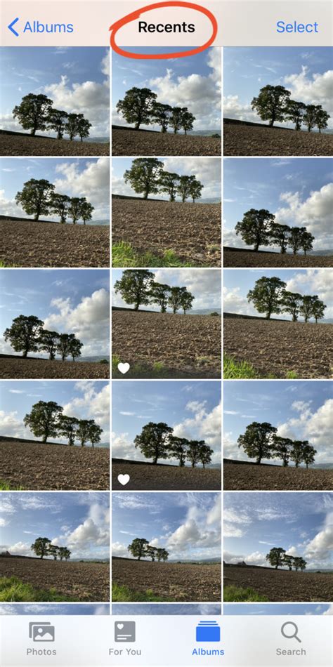 how to put photos in albums on iphone