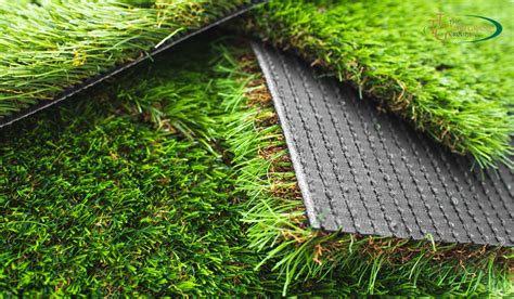 Types Of Bermuda Grass Which Varieties Are Ideal For Your Lawn The