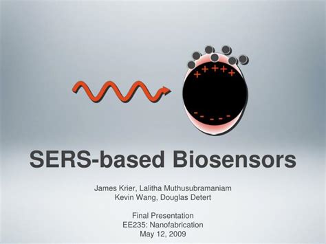 PPT - SERS-based Biosensors PowerPoint Presentation - ID:389813