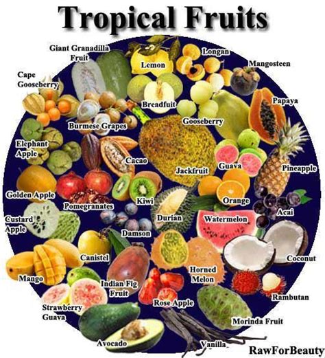 tropical fruits