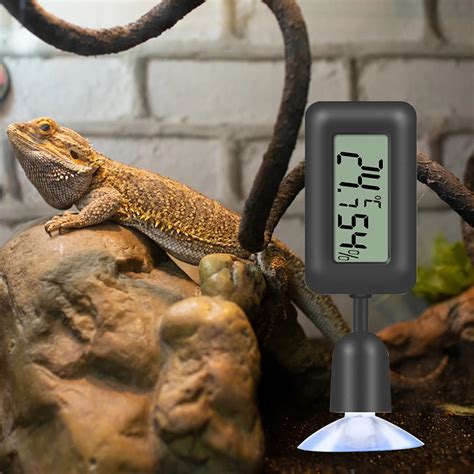 Reptile Digital Thermometer At Kevin Blankenship Blog