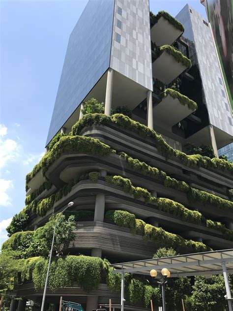 This hotel in Singapore is very green : r/mildlyinteresting