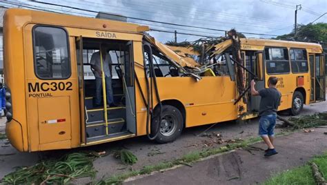 Rvore Cai Em Cima De Nibus E Deixa V Tima Presa Nas Ferragens Em Curitiba