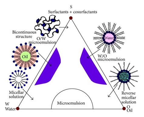 Theoretical Ternary Phase Diagram Of Microemulsion Systems 158