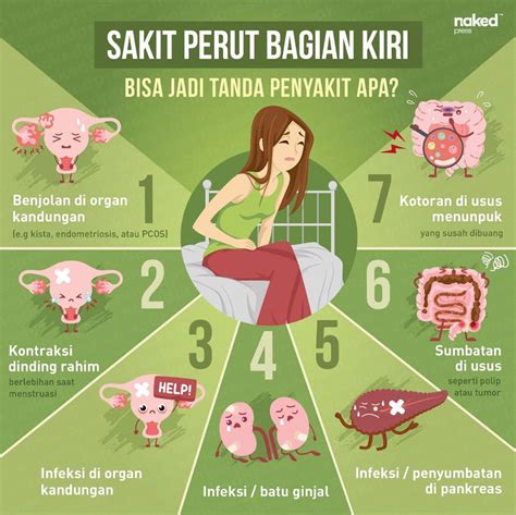 Mengapa Sakit Perut Bagian Bawah Homecare24