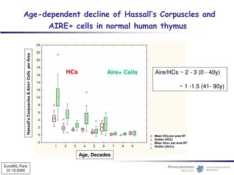 Ppt Role Of Aire In Thymoma Associated Myasthenia Gravis Powerpoint