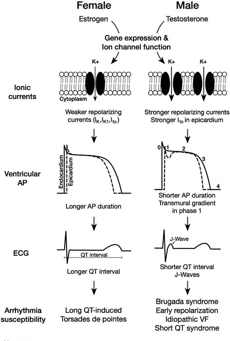 Sex And Racial Disparities In Catheter Ablation Heart Rhythm O