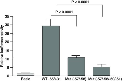 Functional role of Sp1/TBP and AP2/EGR-1 binding sites in the proximal ...