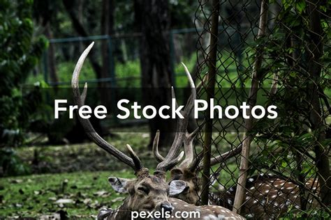 Cartesian Axis Photos Download The Best Free Cartesian Axis Stock