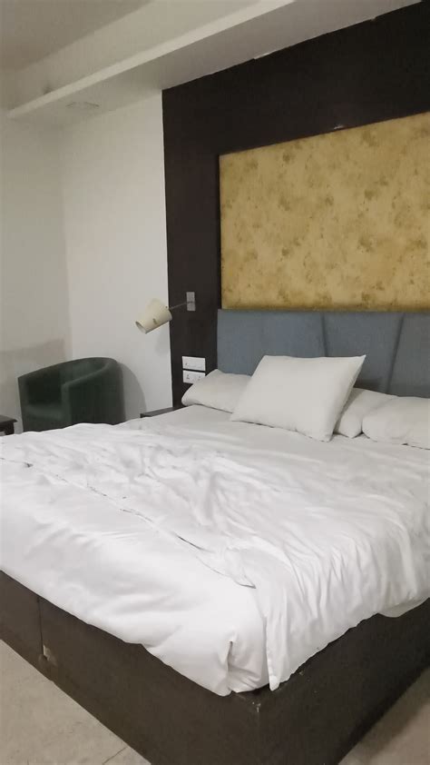 Hotel Park Tree, Near IGI Airport Delhi (A Unit of Prithvi Palace) 100%