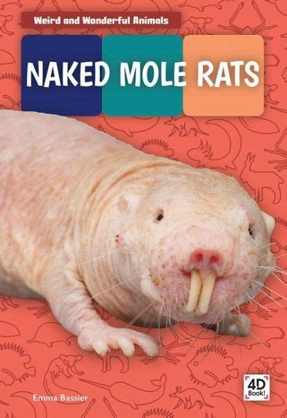 Naked Mole Rats Von Emma Bassier Englisches Buch B Cher De