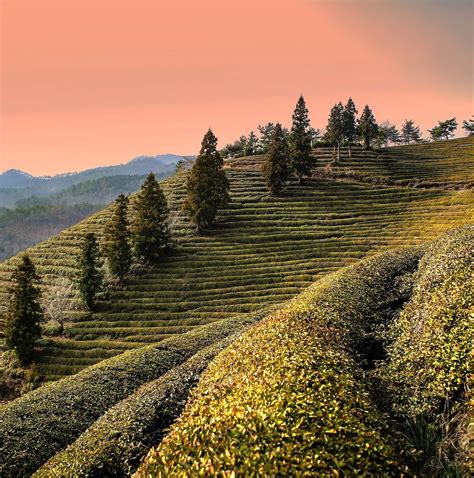 10 Best South Korea Tours in April 2026 - TourRadar