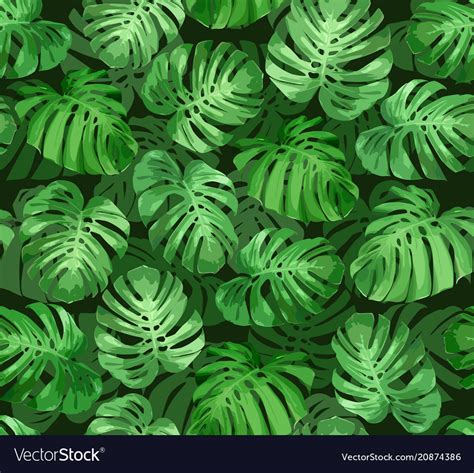 Monstera Leaves Seamless Tropical Background Vector Image