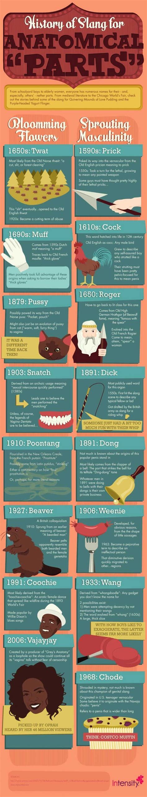 Infographic The History Of Slang For Your Naughty Bits Kinkly Straight Up Sex Talk With A Twist