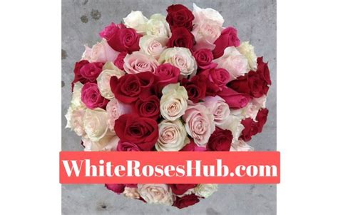 Meaning of red white and pink roses together in 2022 | White and pink ...