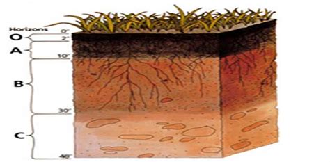 Soil Mechanics