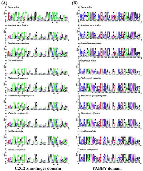 Conserved Domains Of Orchid And Rice Yabby Protein Sequences A