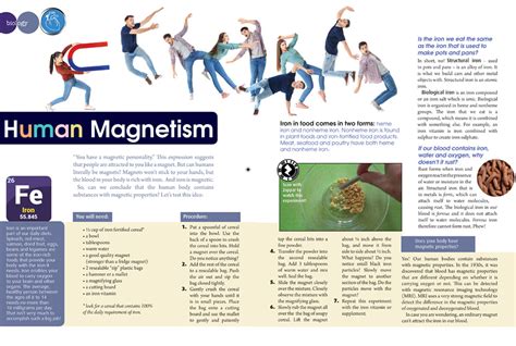 Biology – Human Magnetism : Brainspace Magazine – Interactive & Educational