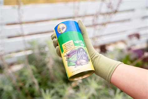 How to Control Slugs in the Garden