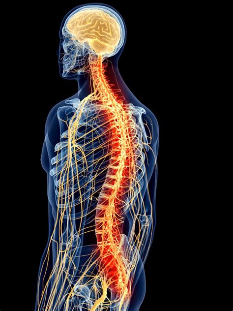 Pin en Nerve pain