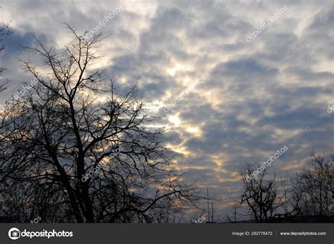 Spooky Clouds Naked Trees Stock Photo By YAYImages