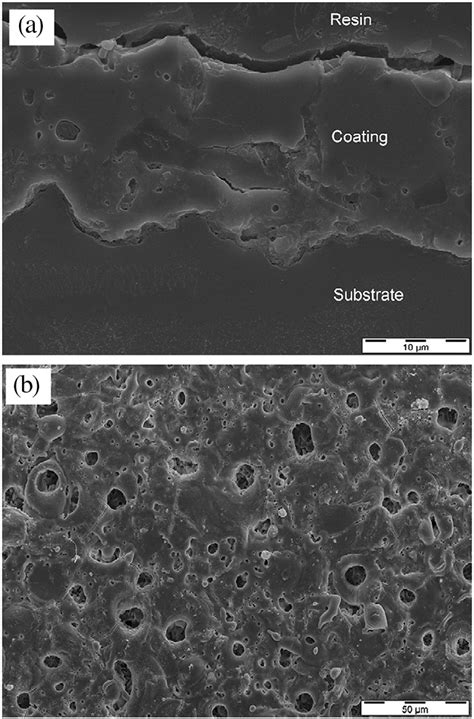 Surface And Cross Section Morphology Of Peo Coatings Formed In Silicate