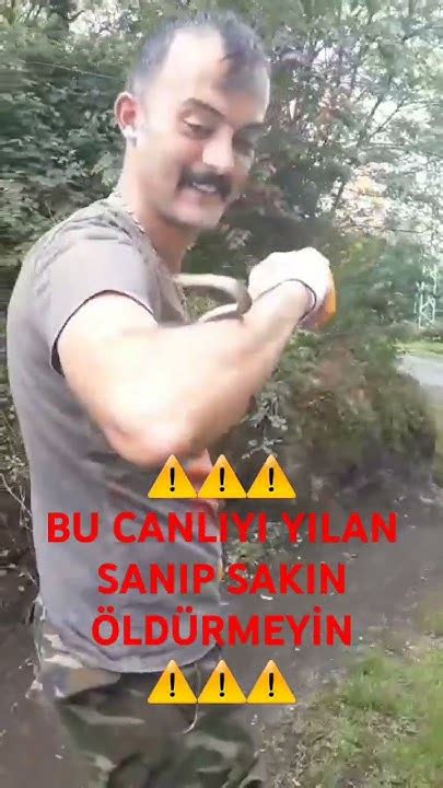 Yılan Doğaya Nasıl Salınır Bu Canlıyı Yılan Sanıp Sakın öldürmeyin⚠️⚠️