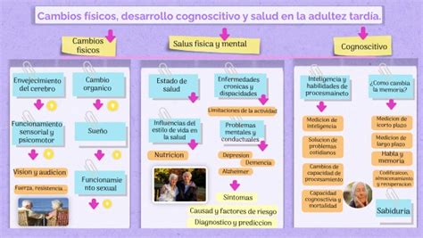 Cambios físicos desarrollo cognoscitivo y salud en la adultez tardía